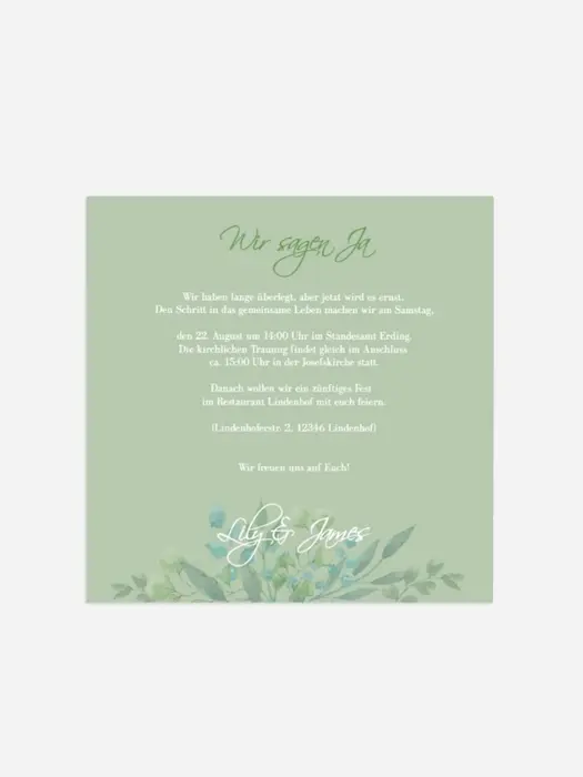 Product preview