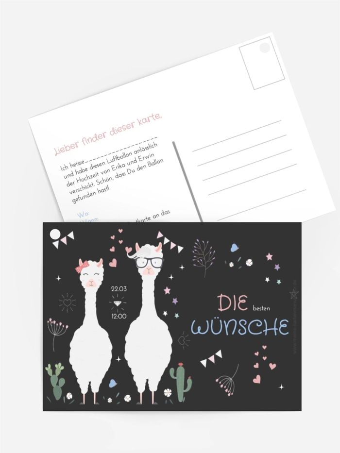 Lamas Hochzeit Lamas Hochzeit