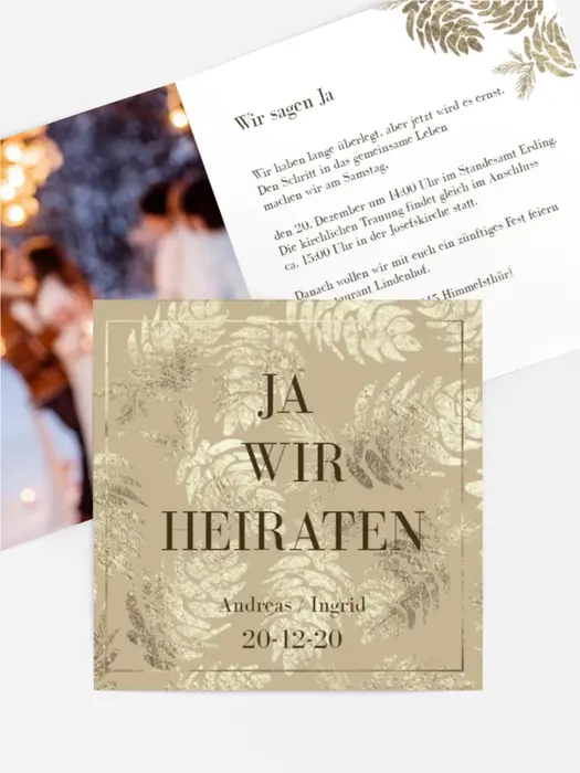Kiefernzapfen