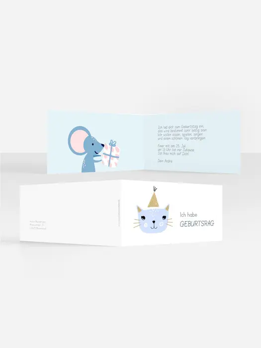 Product preview