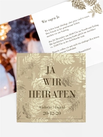 Kiefernzapfen