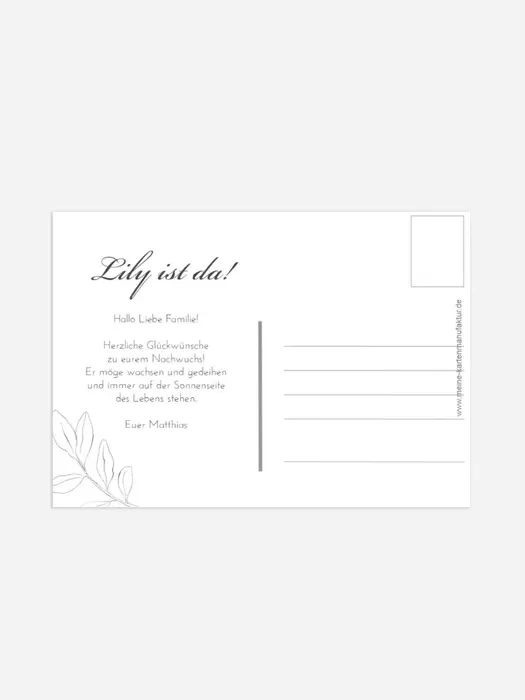 Product preview