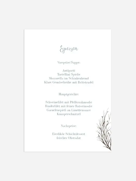 Product preview
