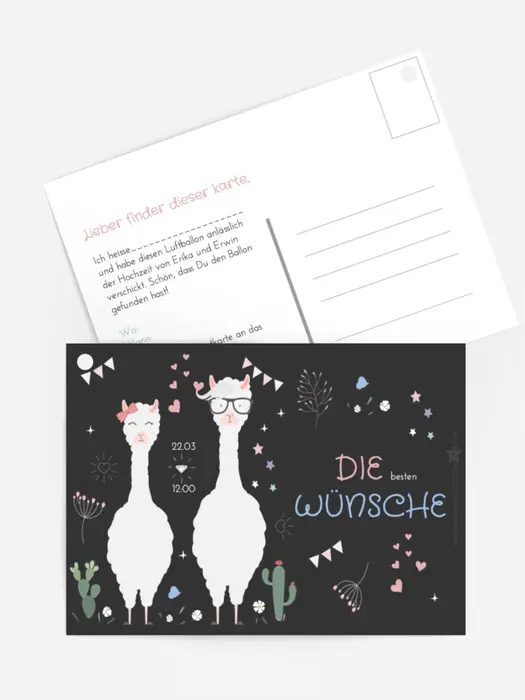 Lamas Hochzeit