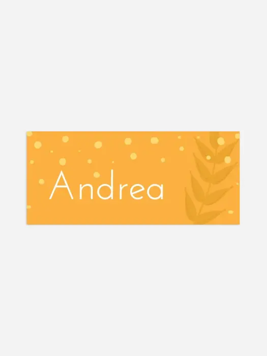 Product preview