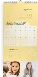 Product preview
