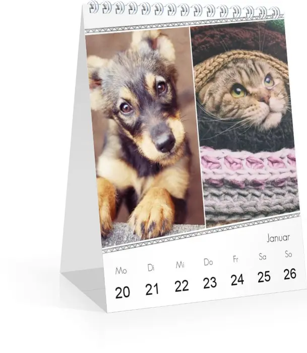 Product preview