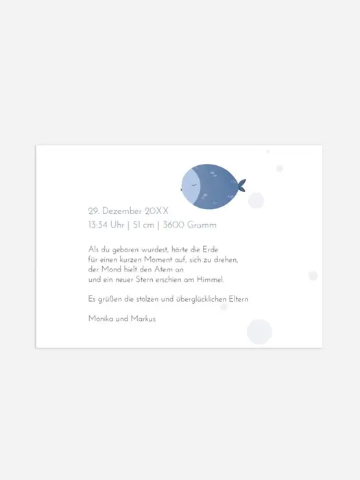 Product preview