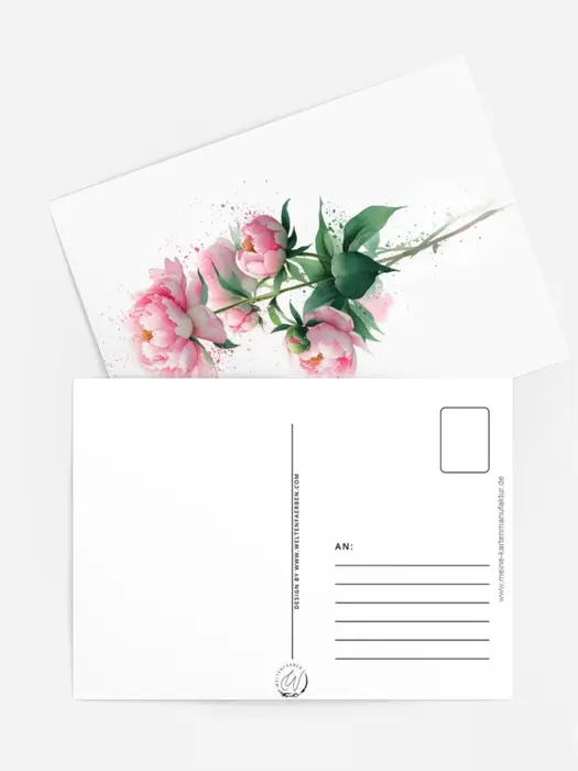 Pfingstrose ohne Lettering