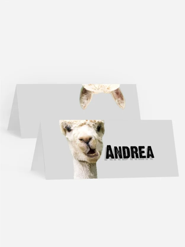 Tischkarte Geburtstag Einladung vom Lama Tischkarte Geburtstag Einladung vom Lama
