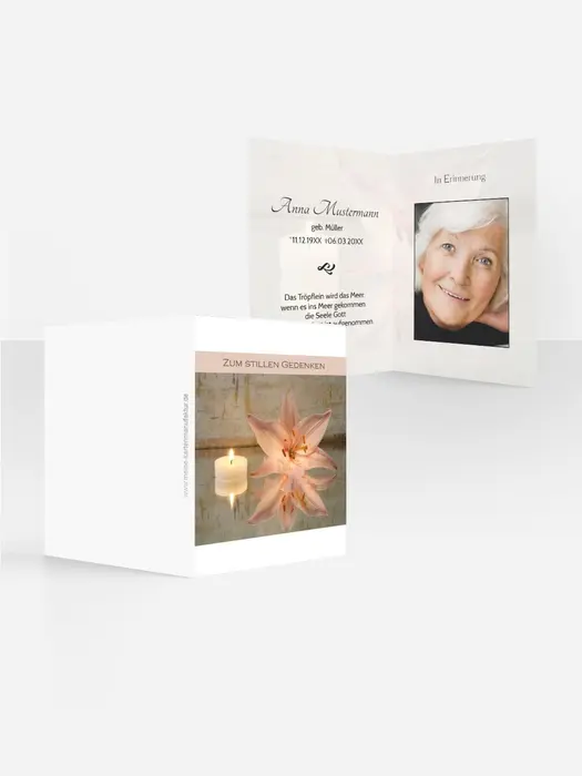Product preview