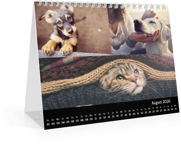 Product preview