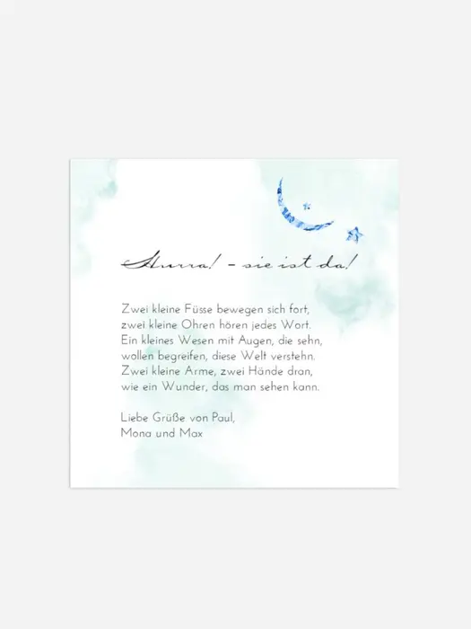 Product preview