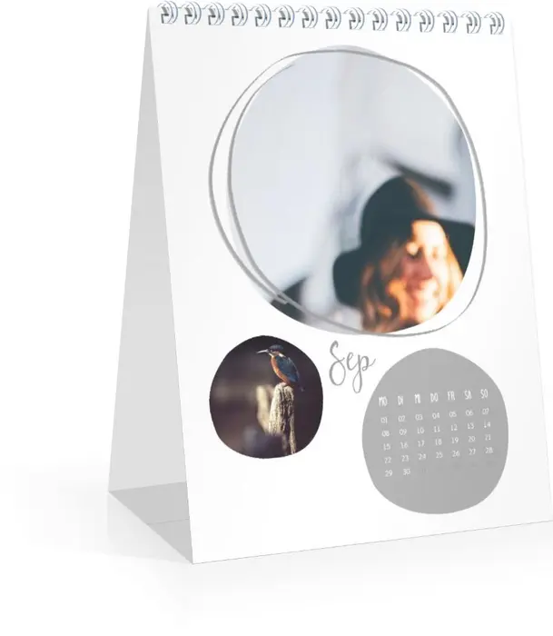 Product preview