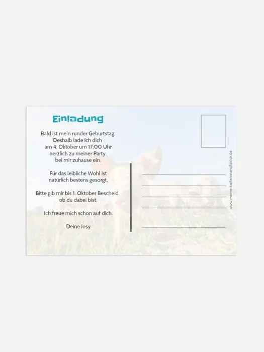 Product preview