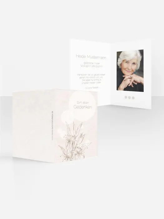Product preview