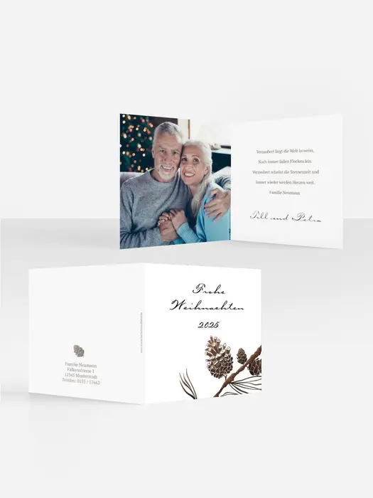 Product preview