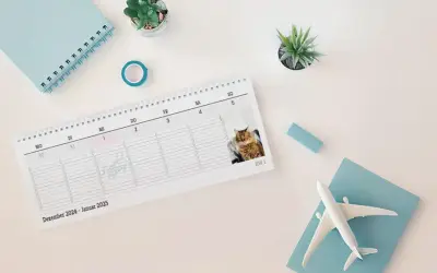 Slider background