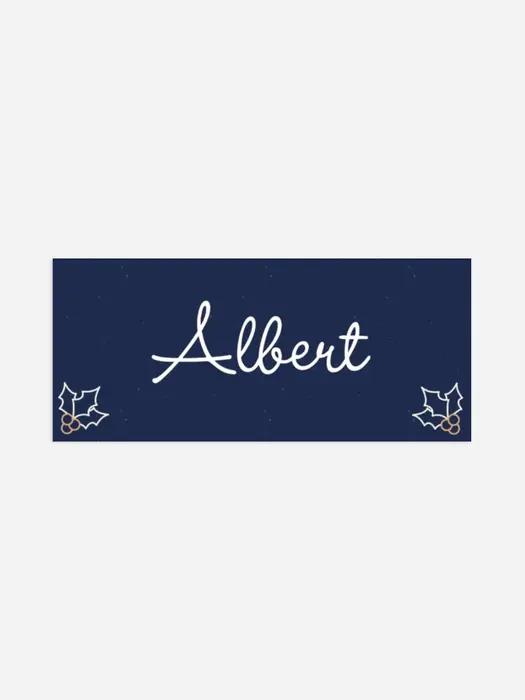 Product preview