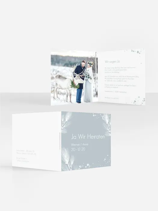 Product preview