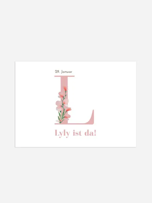 Product preview