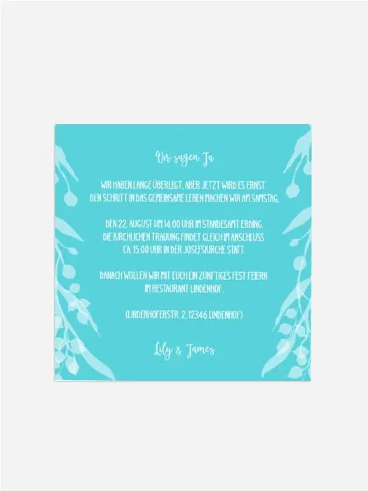 Product preview