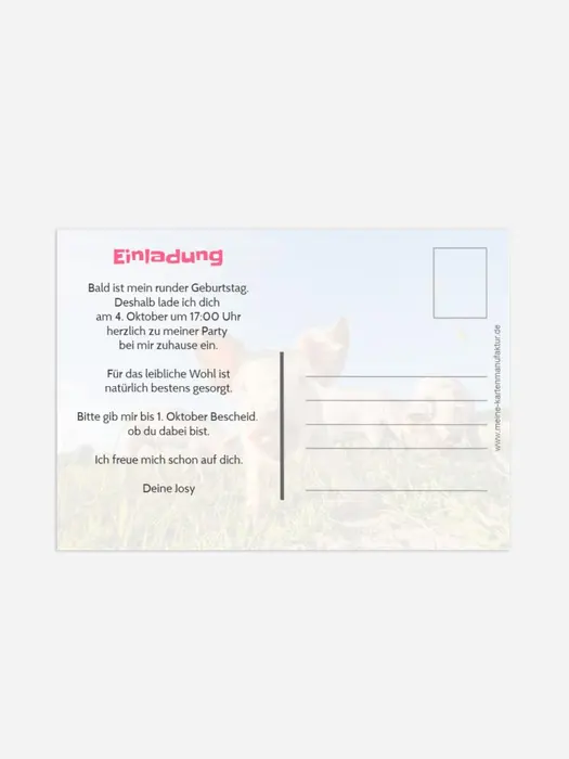Product preview