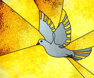 Eine Taube vor gelben Hintergrund, ein Buntglasfenster