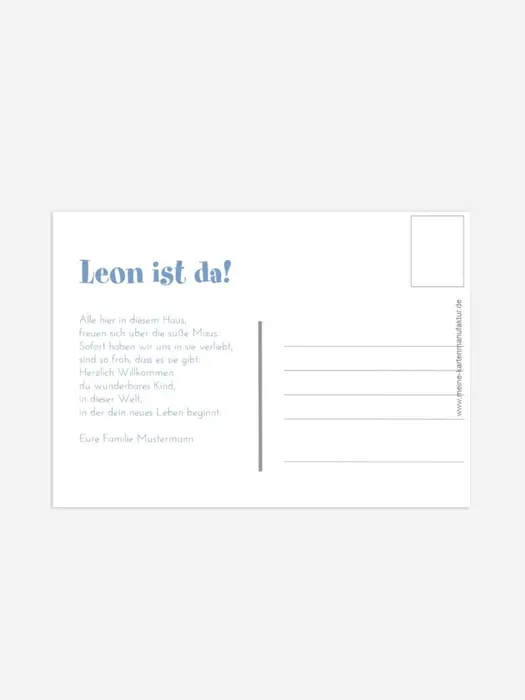 Product preview