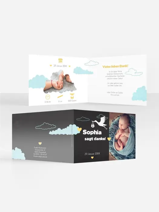 Product preview