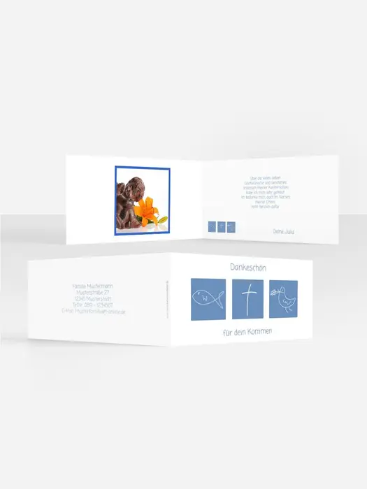 Product preview