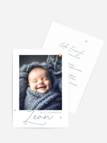 Babykarte In Windeln