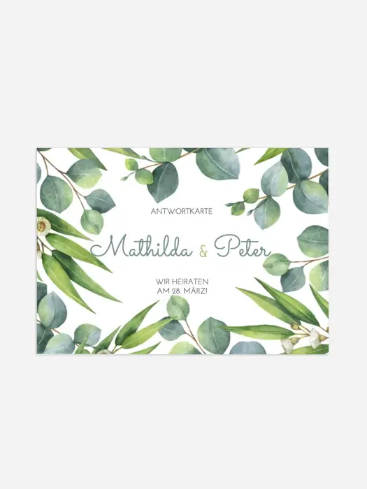 Product preview