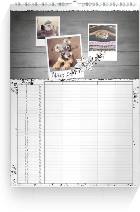 Product preview