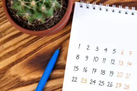 Ein handschriftlicher Terminkalender im A4 - Format