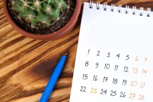 Ein handschriftlicher Terminkalender im A4 - Format