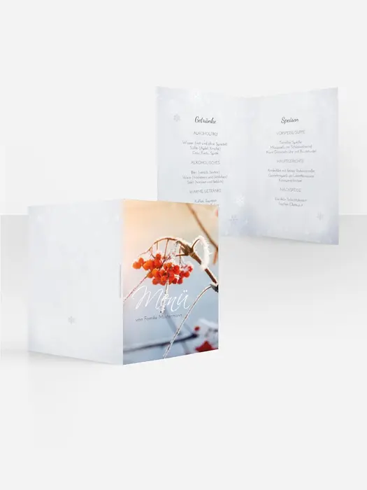 Product preview