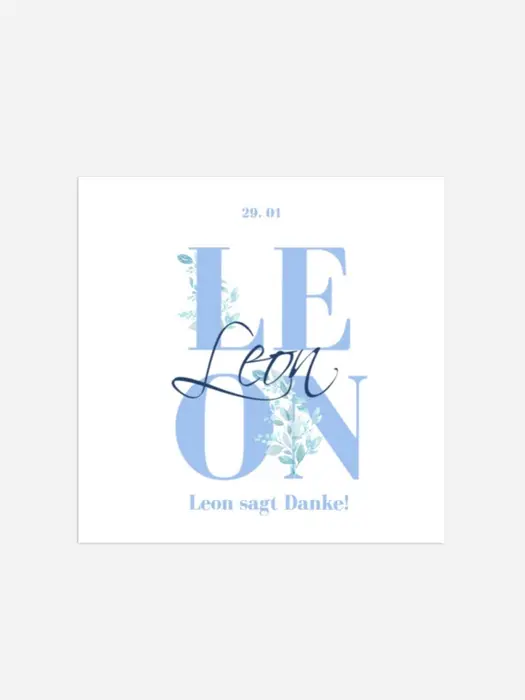 Product preview