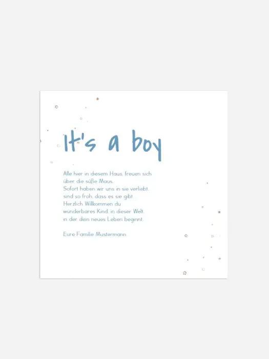 Product preview