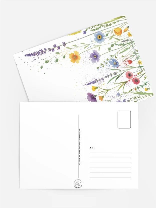 Wildblumenwiese ohne Lettering