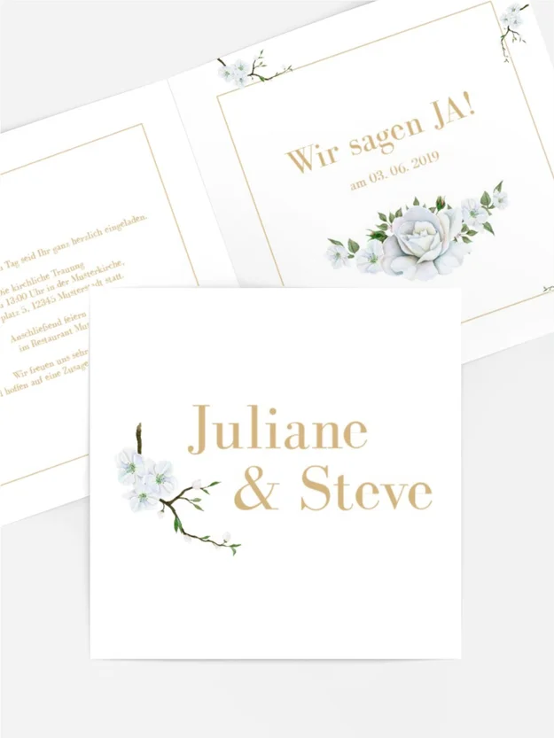 Weiße Rose Weiße Rose