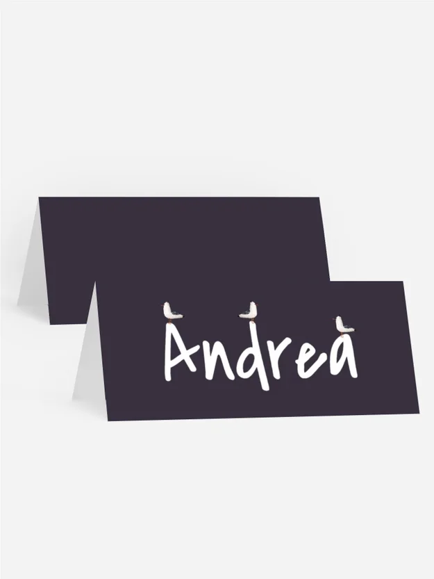 Tischkarte Geburtstag Möwenparty Tischkarte Geburtstag Möwenparty