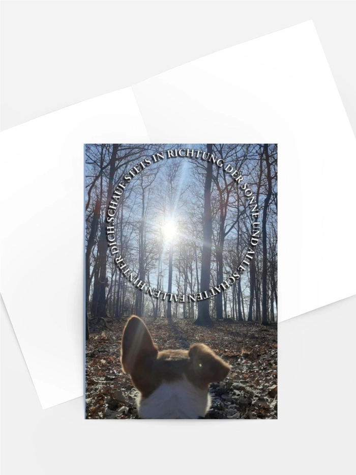 Hund im Wald vor der Sonne