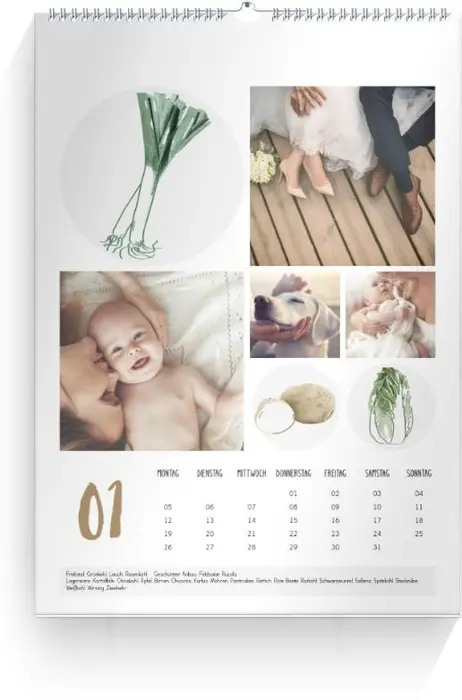 Product preview