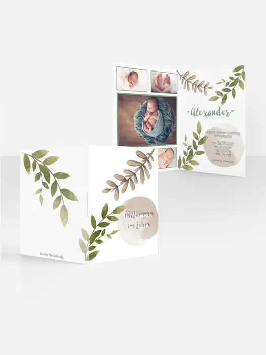 Product preview