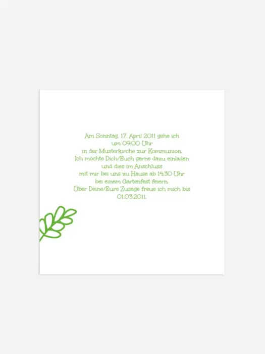 Product preview