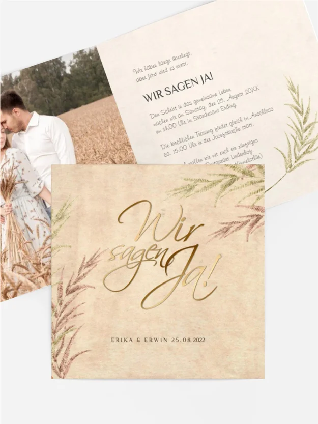 Liebe Palme Liebe Palme