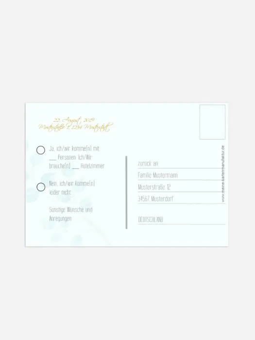 Product preview