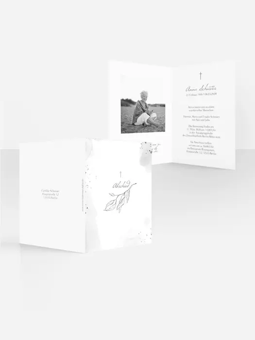 Product preview