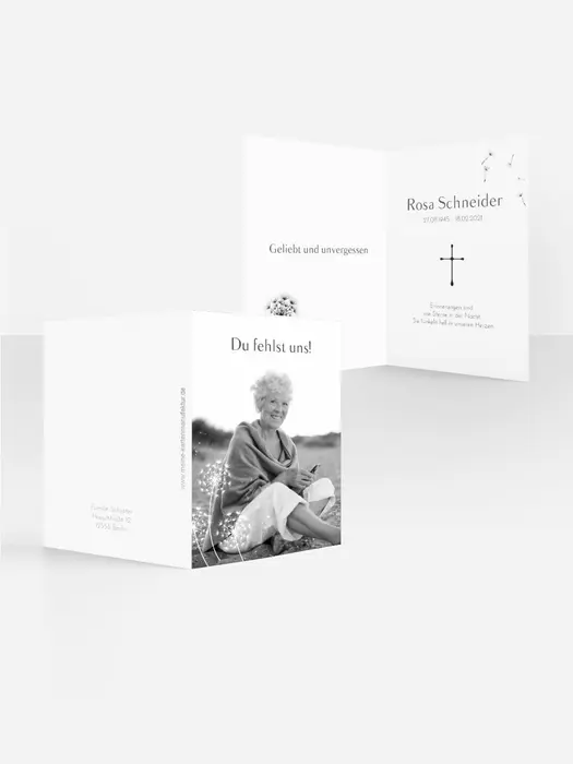Product preview